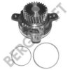 BERGKRAFT BK4207711WP Water Pump